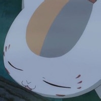 天天